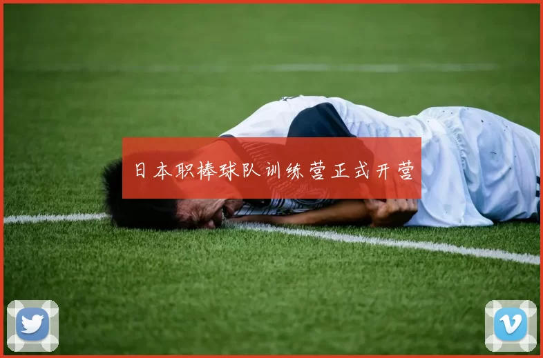 日本职棒球队训练营正式开营