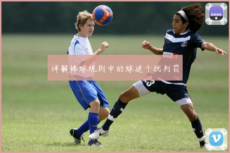 详解棒球规则中的球迷干扰判罚