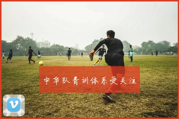 中华队青训体系受关注
