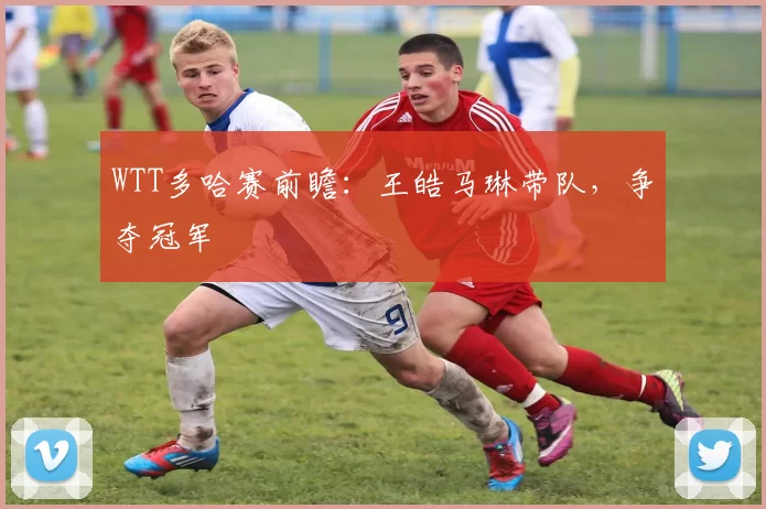 WTT多哈赛前瞻：王皓马琳带队，争夺冠军