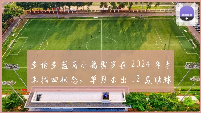 多伦多蓝鸟小葛雷罗在 2024 年季末找回状态，单月击出 12 轰助球队冲击外卡