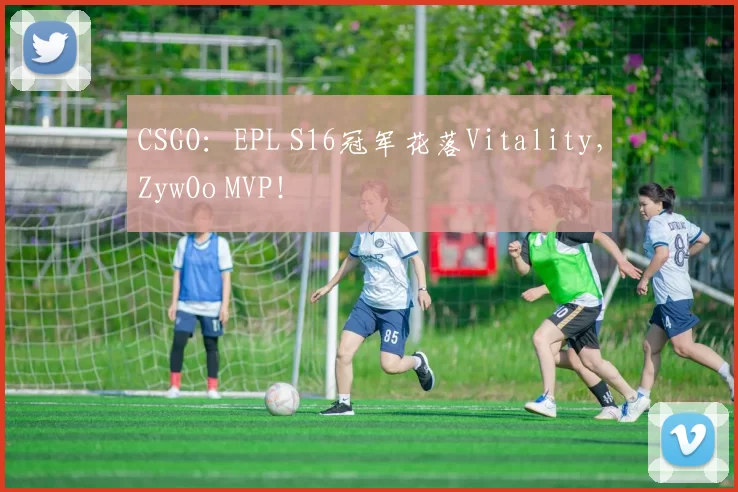 CSGO：EPL S16冠军花落Vitality，ZywOo MVP！