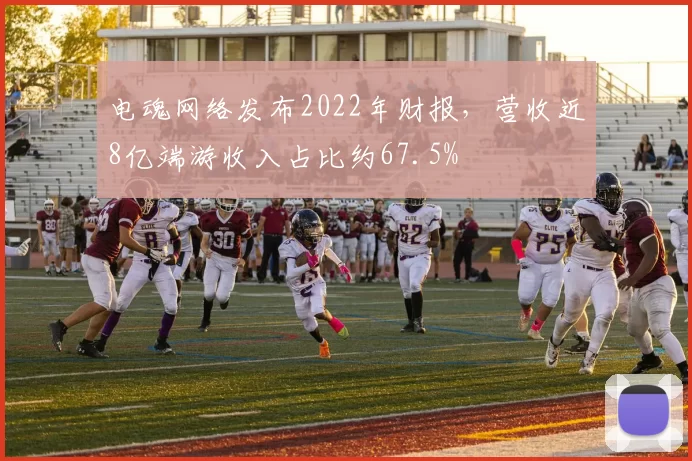 电魂网络发布2022年财报，营收近8亿端游收入占比约67.5%
