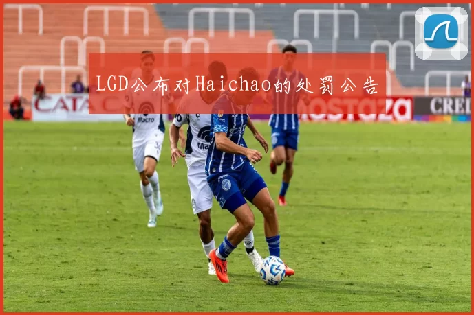 LGD公布对Haichao的处罚公告